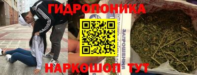 ECSTASY Малгобек