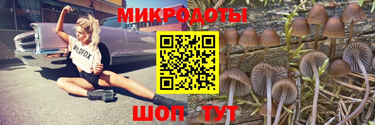 Псилоцибиновые грибы мухоморы Дубна