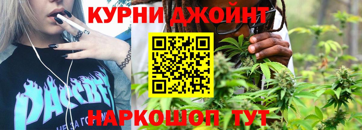 Бошки Шишки сатива Дубна